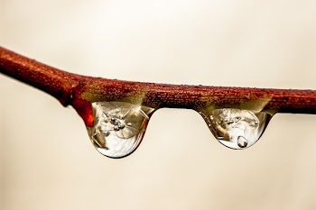 Two Droplets