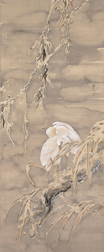 two egrets standing close together | Free Photo - rawpixel