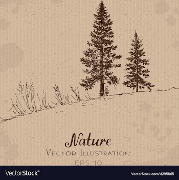  					Two Fir-Trees vector image														