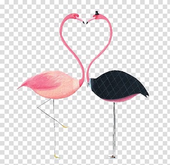 Two flamingo birds , Flamingos Paper Drawing Illustration, Watercolor flamingo transparent background PNG clipart