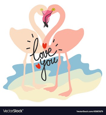 two flamingos with crossed beaks isolated