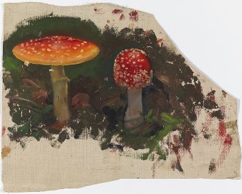 Two fly agarics, sketch for the painting | Free Photo - rawpixel