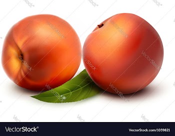  					Two fresh peach vector image														