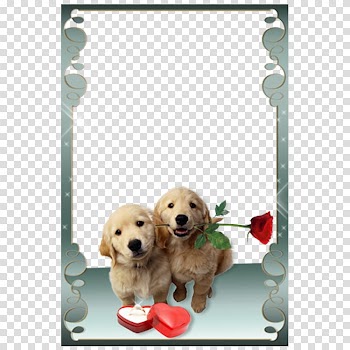 Two golden Labrador puppies, Love Frames frame Android, Puppy Valentine's Day floral frame transparent background PNG clipart