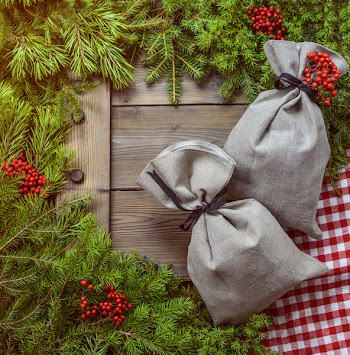 Two Gray Bags Surrounded by Green Leaves