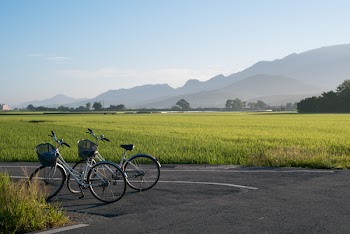 Two Gray Bicycles Parks on Road Beside Grass Field