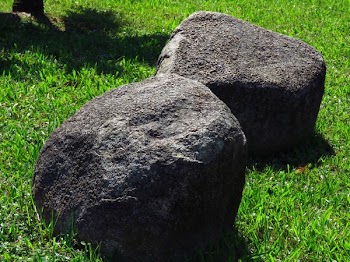 Two Gray Stone Fragments on Green Grass