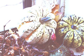 Two Green and Beige Pumpkins