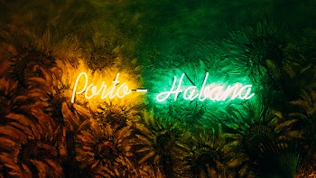 Two Green and Brown Lighted Neon Signages