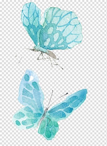 Two green butterflies , Watercolor painting Drawing Illustration, blue butterfly transparent background PNG clipart