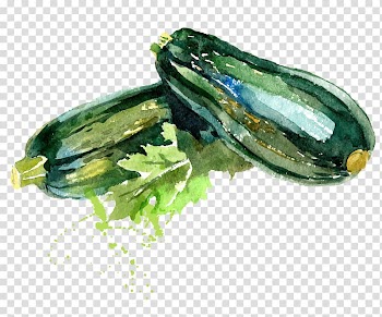 Two green gord paintings, Organic food Vegetable Watercolor painting Zucchini Drawing, WATERCOLOR GREEN transparent background PNG clipart