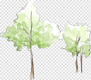 Two green leafed trees illustration, Fresh hand-painted watercolor tree transparent background PNG clipart