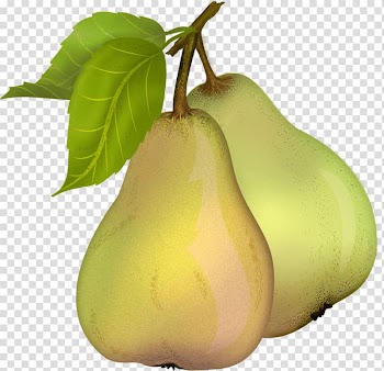 Two green pear fruits, Pear Duo transparent background PNG clipart