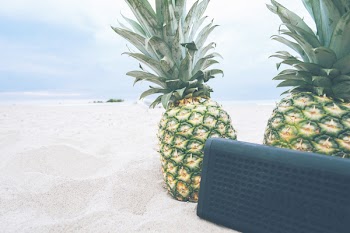 Two Green Pineapple Fruits on Sand