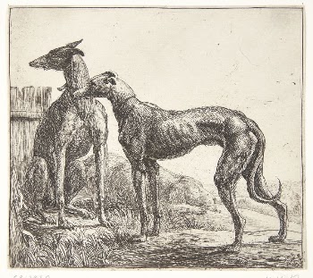 Two greyhounds and a sleeping | Free Photo - rawpixel