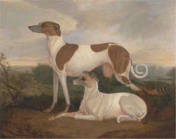 Two Greyhounds in a Landscape | Free Photo - rawpixel