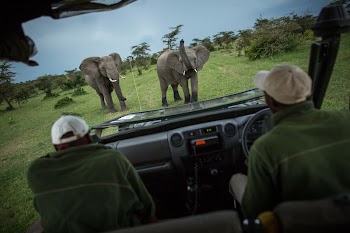Two guides with Asilia Africa | Free Photo - rawpixel