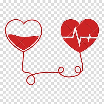 Two heart shapes illustration, Heart rate Blood donation Pulse, donation blood transparent background PNG clipart