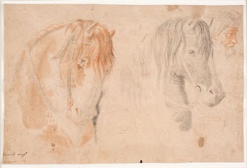 Two horse heads and a man's | Free Photo - rawpixel