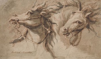 Two Horses' Heads | Free Photo - rawpixel