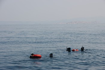 Two Inflatable Swim Rings on Body of Water