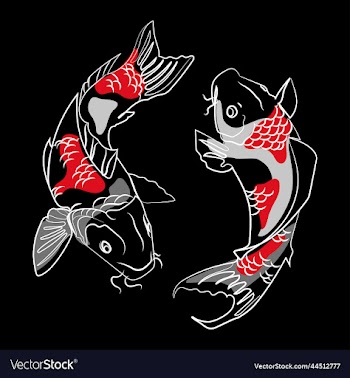 two japanese koi carp fishes line drawing
