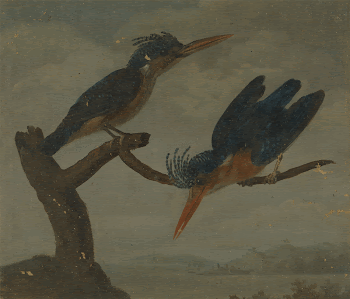 Two Kingfishers beside a Lake, | Free Photo - rawpixel