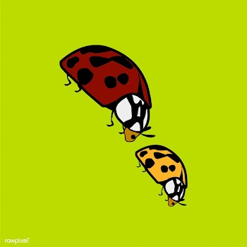 Two ladybugs funky graphic illustration | Free stock vector - 429601