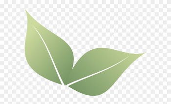 Two Leaf Clipart