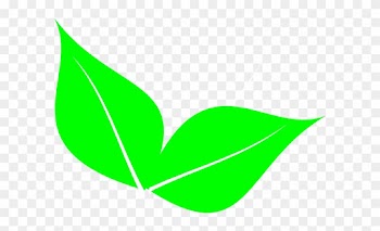 Two Leaves Clip Art - 2 Leaf Clip Art