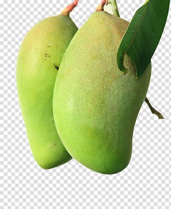 Two mangoes , Smoothie Mango Fruit, Two mangoes transparent background PNG clipart