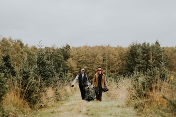Two men hauling a Christmas | Free Photo - rawpixel