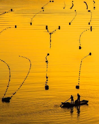 Two Men on Boat in Lake With Fish Pens at Sunset
