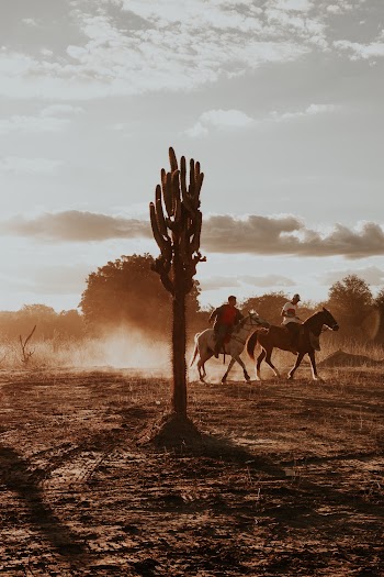 Two Men Riding Horse