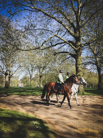 Two Men Riding On Horses Near Trees