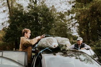 Two men securing his Christmas | Free Photo - rawpixel