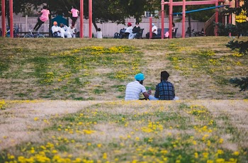 Two Men Sitting on Yellow Flower Field in the Park