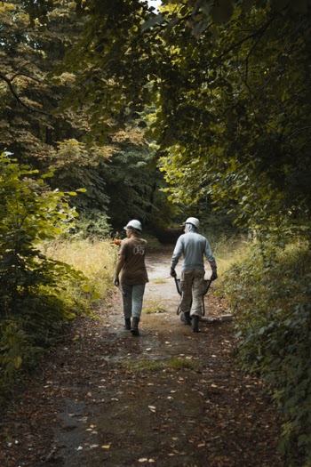 Two Men Walking on Way in Between Trees