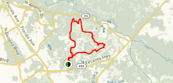 Two Mile Prairie aka Bear Head Hammock - Florida | AllTrails