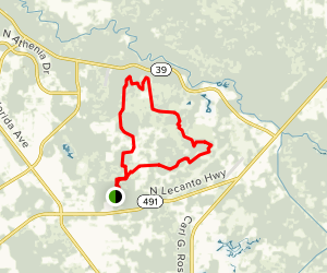 Two Mile Prairie aka Bear Head Hammock - Florida | AllTrails