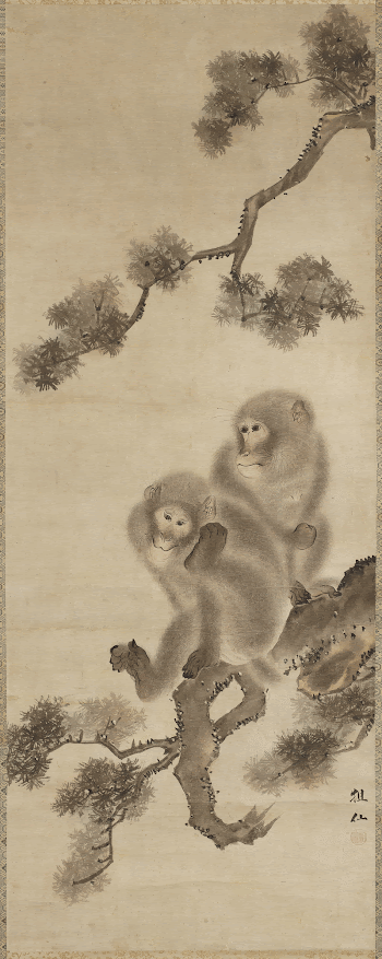 Two Monkeys in a Pine | Free Photo - rawpixel