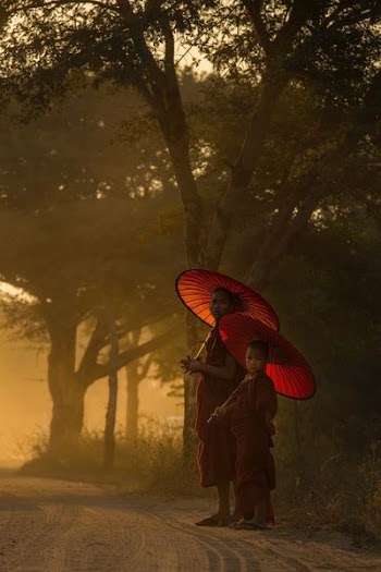 two monks under red wax umbrella surround by green leafed trees