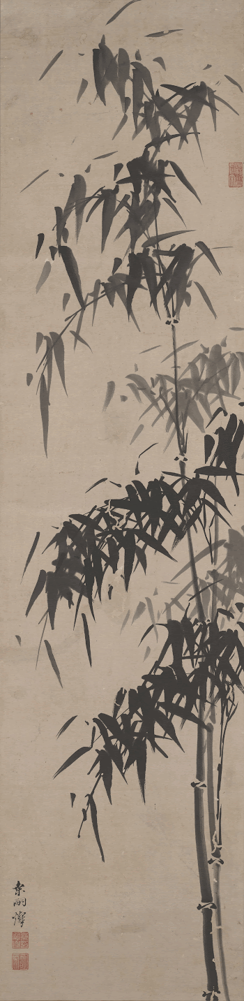 two narrow stalks of bamboo | Free Photo - rawpixel