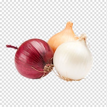 Two onions and garlic illustration, White onion Vegetable Fruit Food, onion transparent background PNG clipart