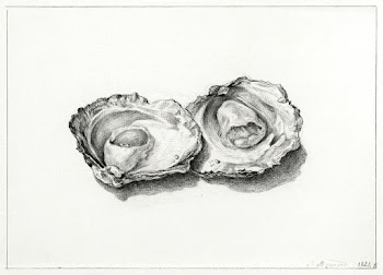 Two opened oysters (1824) drawing in high… | Free public domain illustration