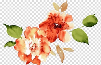 Two orange-and-white petaled flowers illustration, Watercolour Flowers Paper Watercolor painting, Watercolor Peony transparent background PNG clipart