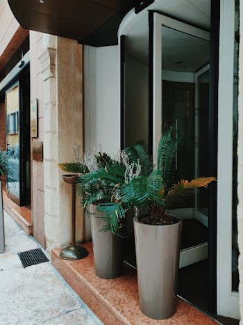 Two Palm Trees in Pots Blocking Door