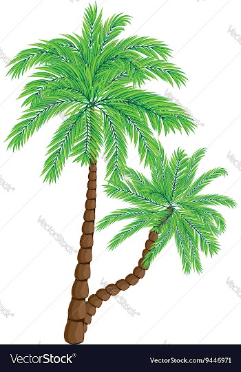 Two Palm Trees2 vector image
