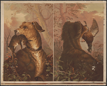 [Two panels, where each has | Free Photo - rawpixel