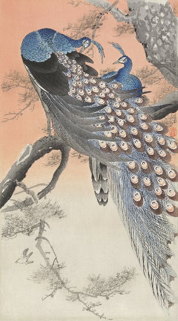 Two peacocks on tree branch | Free Photo Illustration - rawpixel
